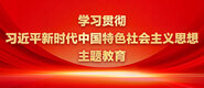 体育生巨根学习贯彻习近平新时代中国特色社会主义思想主题教育_fororder_ad-371X160(2)